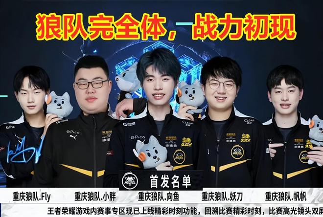保护核心球
